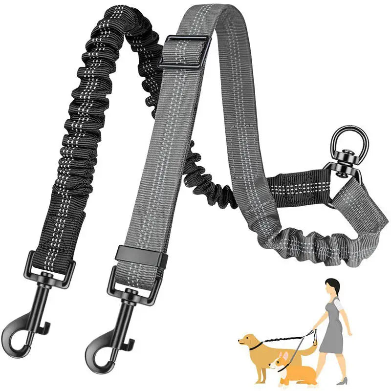 Accouple laisse double petits chiens – réglable morphologie chiot adulte senior toutes tailles