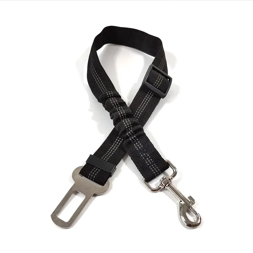 Ceinture de Sécurité Élastique pour Chien | Ajustable & Réfléchissante