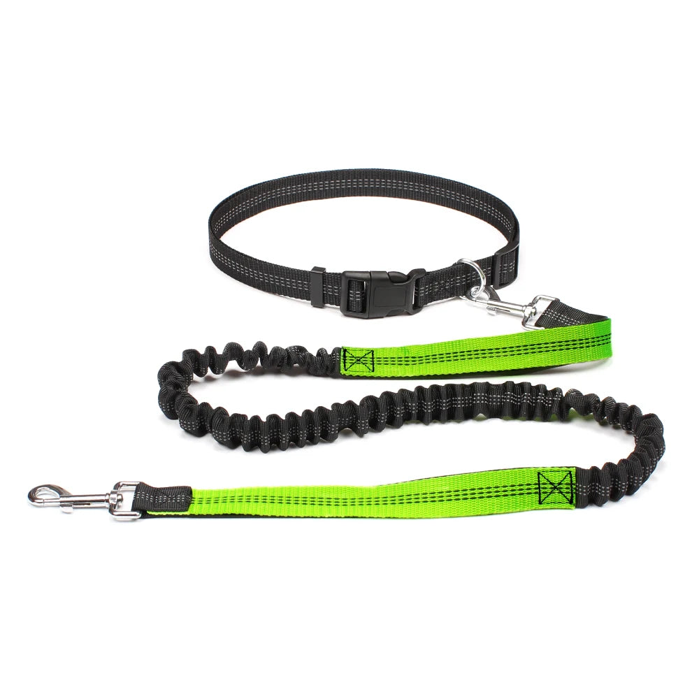 Laisse canicross vert – laisse extensible 125-180cm sangle 2,5cm boucle Quick Release