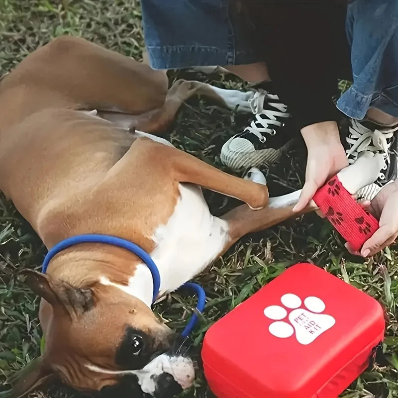 Kit soins portable chien chat – idéal chasse trek voyage en famille avec animal