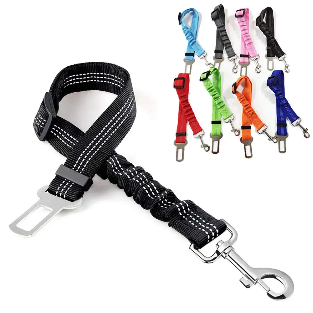 Ceinture de Sécurité Élastique pour Chien | Ajustable & Réfléchissante