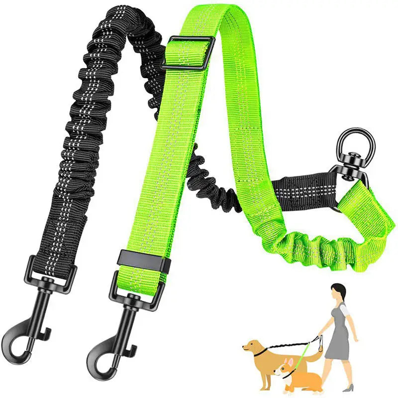Détail élastique Bungee accouple laisse – mémoire de forme absorption impact cervicales trachée
