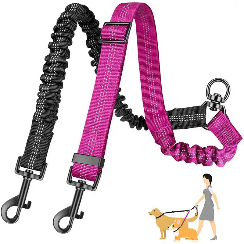Accouple laisse nylon haute densité – résistant usure intempéries toutes saisons dressage