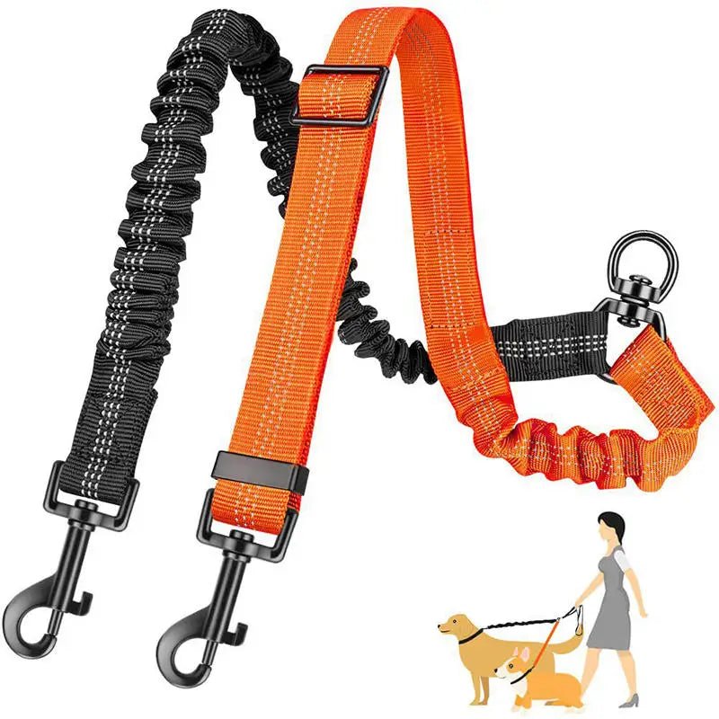 Accouple laisse double orange – légère ergonomique randonnée promenade quotidienne voyage animaux
