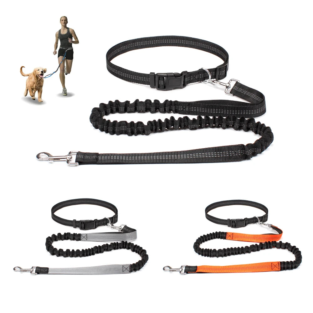 Laisse mains libres chien canicross – gamme 5 coloris running jogging randonnée