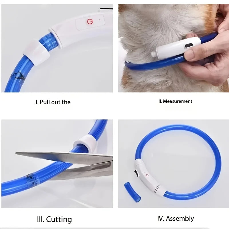 Collier lumineux chien rechargeable USB – autonomie plusieurs heures