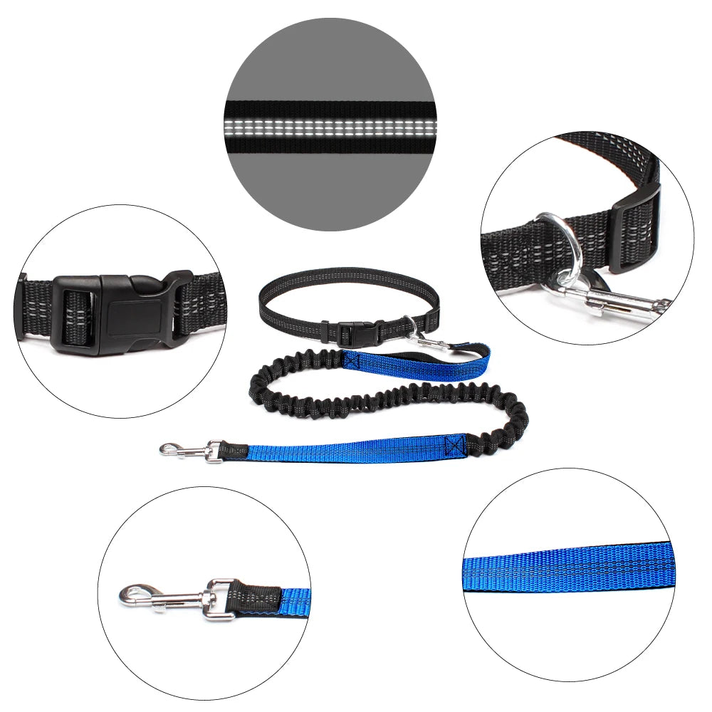 Ceinture ventrale ajustable 70-120cm – nylon haute densité résistant eau sueur