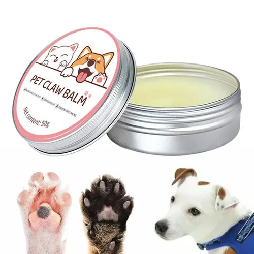 Application baume réparateur sur coussinets chien – protection truffe et pattes gercées