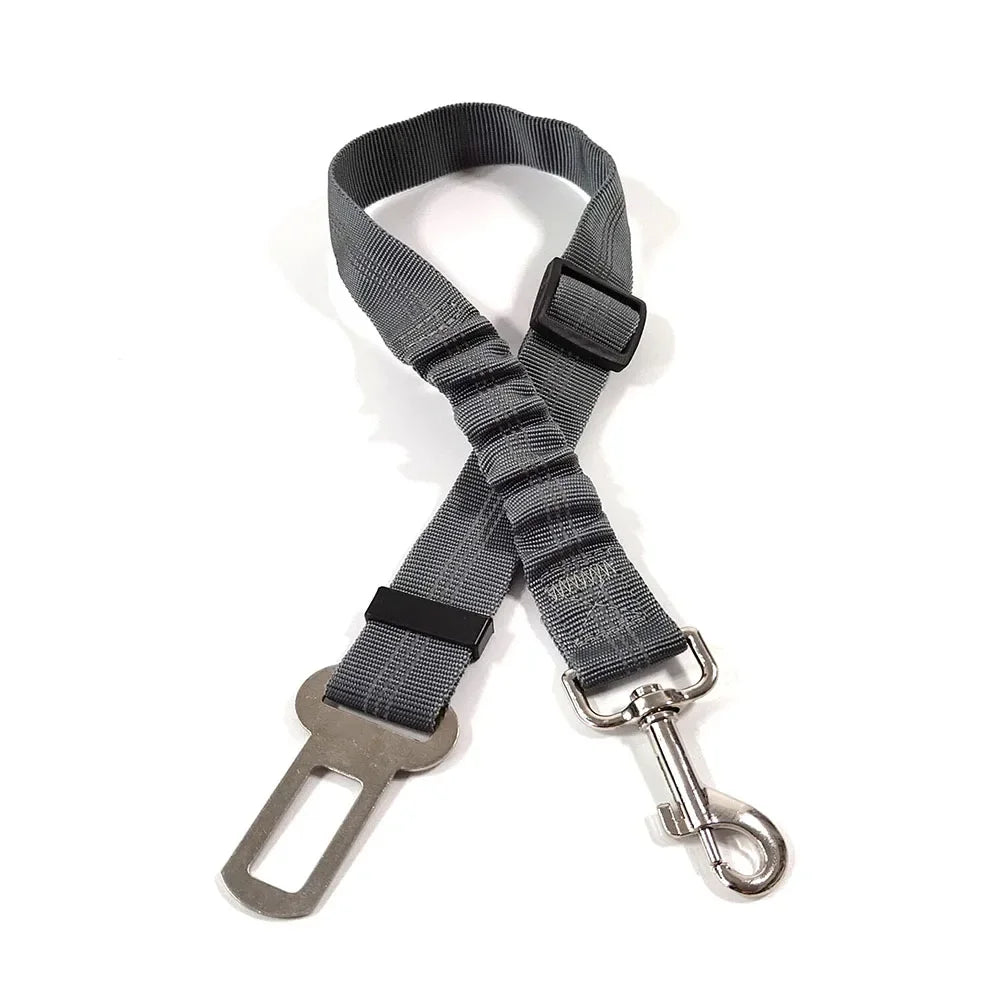 Ceinture de Sécurité Élastique pour Chien | Ajustable & Réfléchissante
