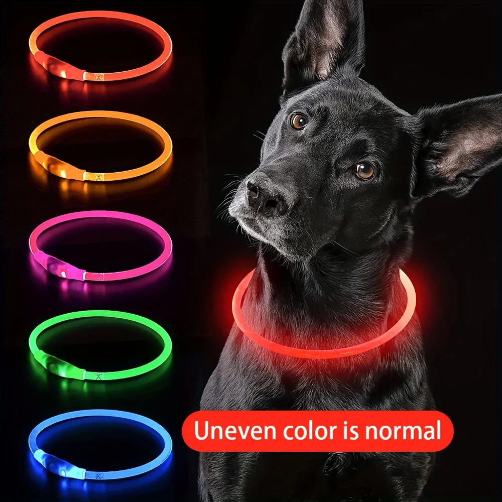 Collier lumineux LED chien – haute visibilité nocturne nylon réfléchissant