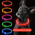 Collier lumineux LED chien – haute visibilité nocturne nylon réfléchissant