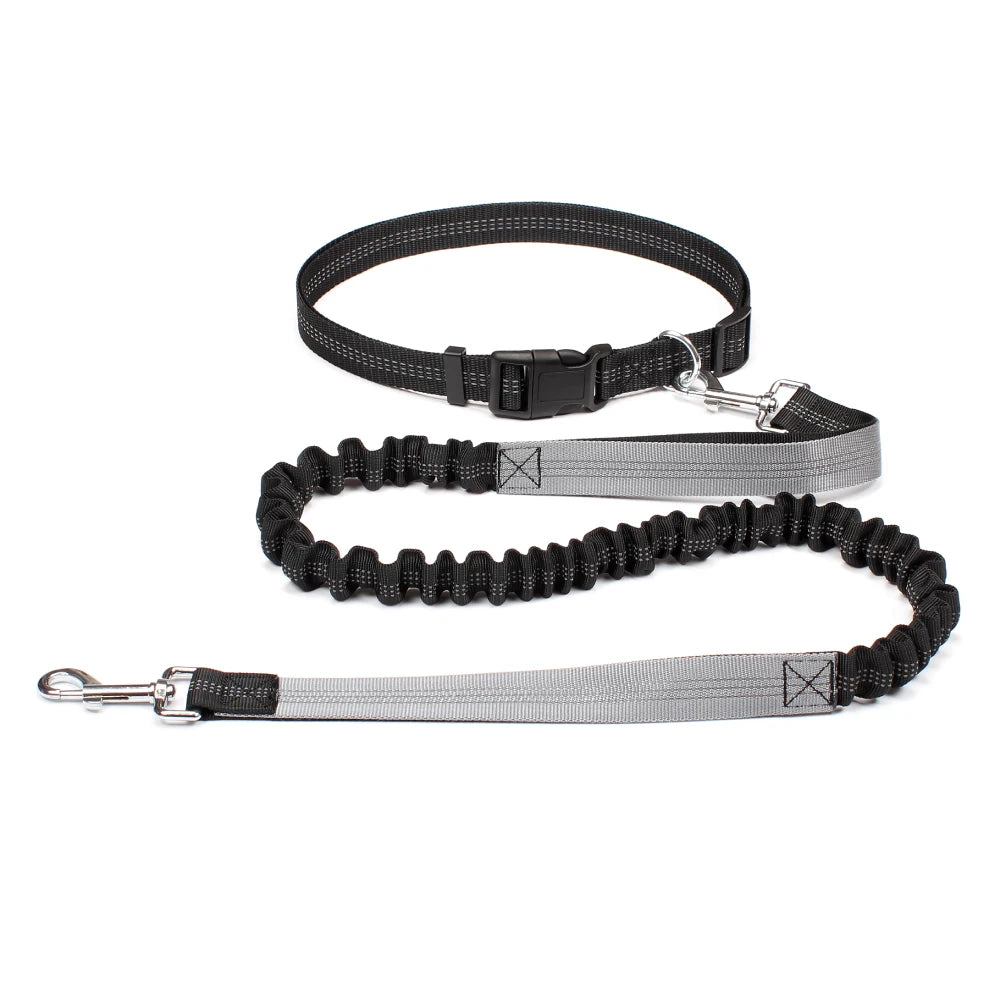 Laisse canicross gris – mousqueton métal 360° anti-emmêlement toutes tailles chiens