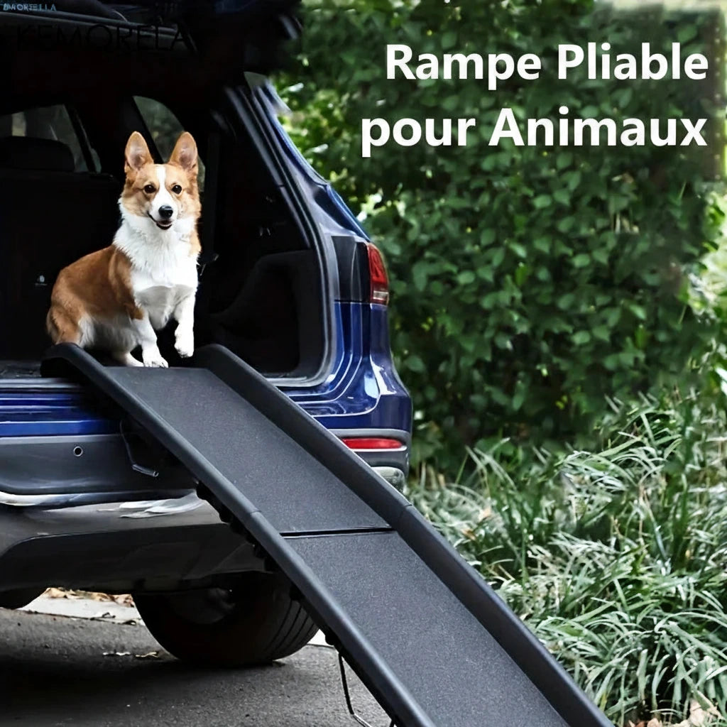 Rampe pliable KEMORELA pour grand chien – vue générale du produit déplié
