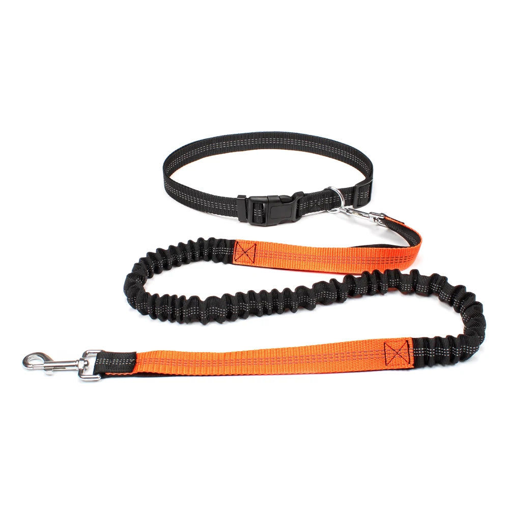 Laisse mains libres chien orange – liberté mouvement téléphone hydratation sans interruption