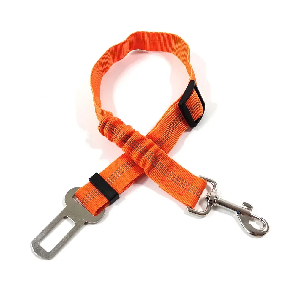 Ceinture de Sécurité Élastique pour Chien | Ajustable & Réfléchissante
