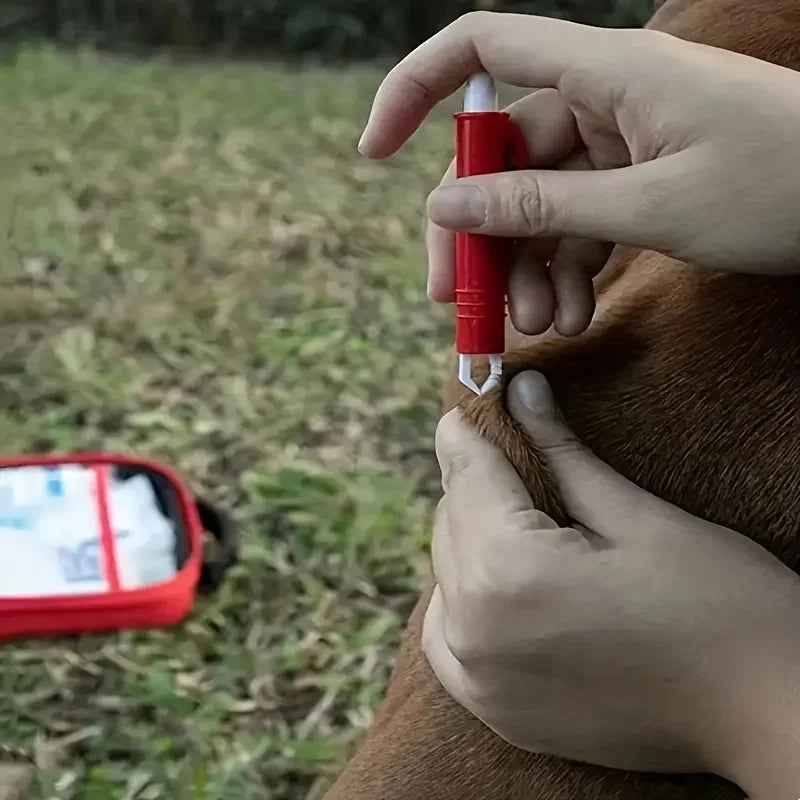Trousse premiers soins chien ouverte – accès rapide matériel urgence camping
