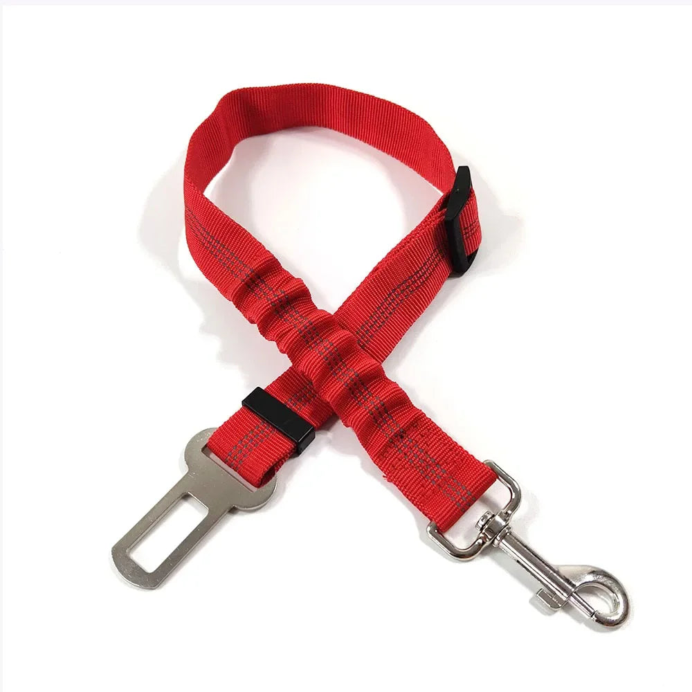 Ceinture de Sécurité Élastique pour Chien | Ajustable & Réfléchissante