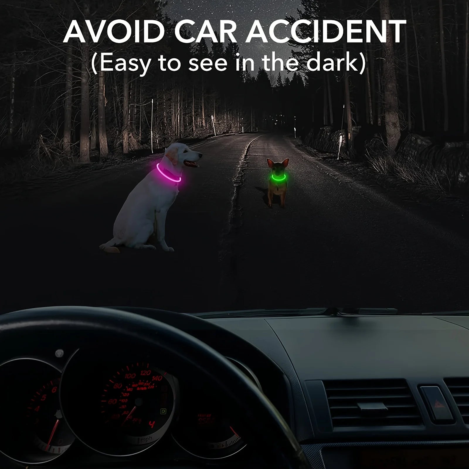 Collier LED chien allumé la nuit – sécurité balade forêt et route