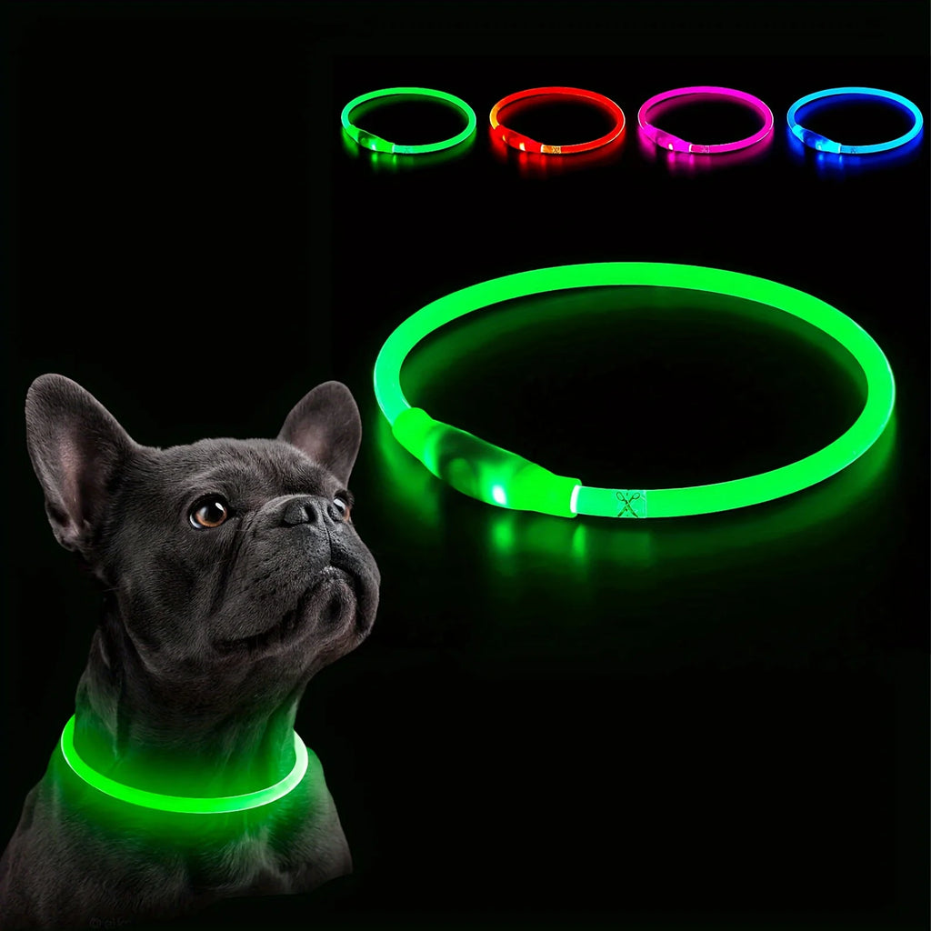Collier LED chien sur animal – confort souple sans gêne mouvement