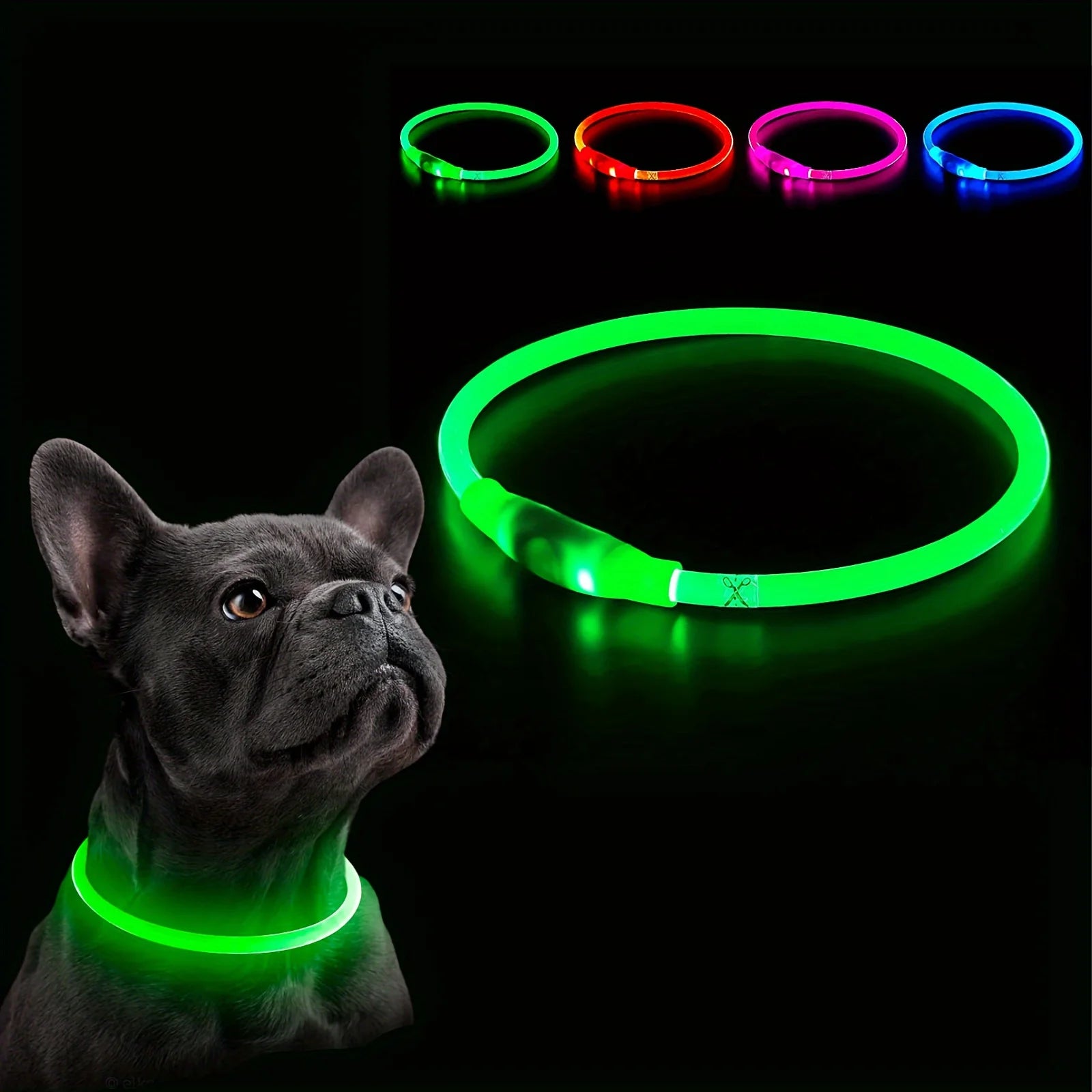 Collier LED chien sur animal – confort souple sans gêne mouvement