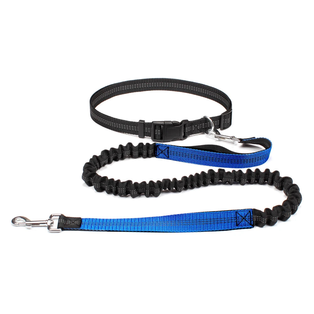 Laisse mains libres chien bleu – kit complet ceinture + laisse élastique double amortisseur