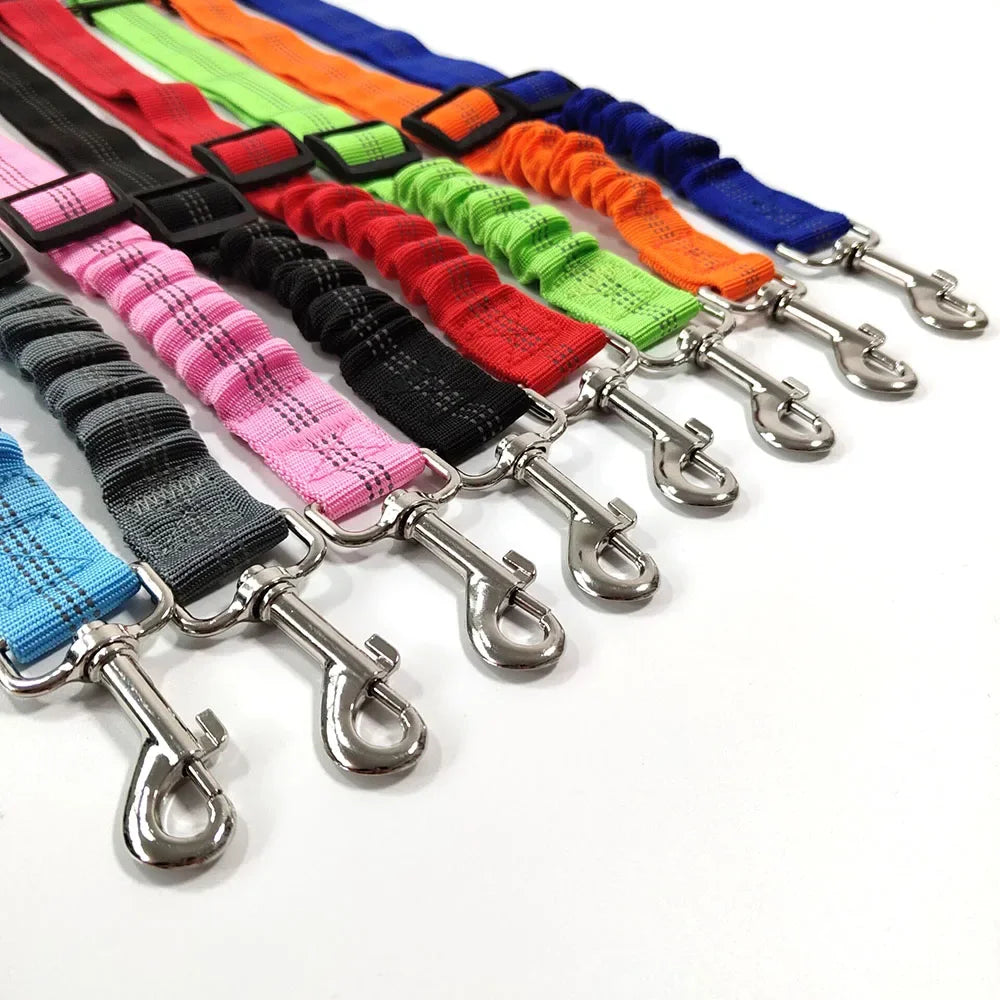 Ceinture de Sécurité Élastique pour Chien | Ajustable & Réfléchissante